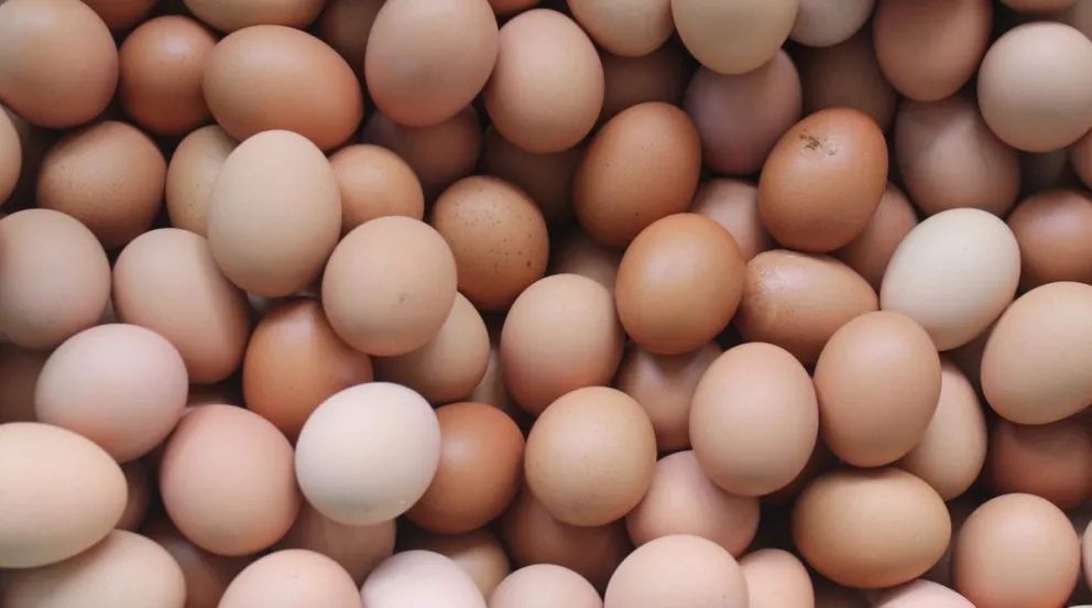 Alarmante: Tartagal afectado por la Salmonella