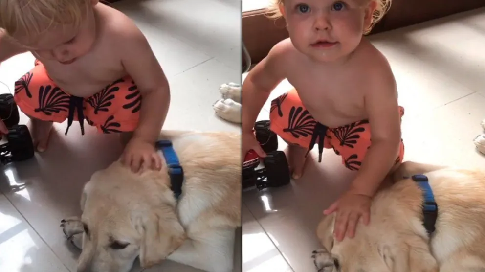 El tierno video de Mirko acariciando a su perrito Bailey