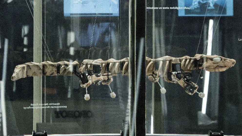 VIDEO: Esqueleto de reptil gigante de 300 millones de años 'resucita' como robot
