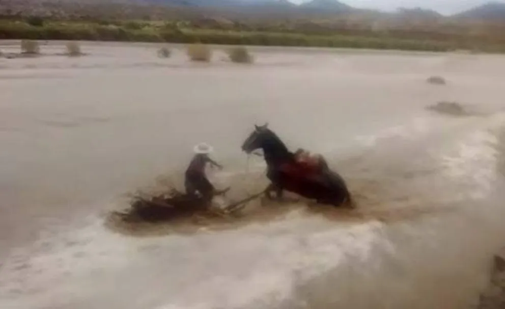 IMPACTANTE VIDEO. Un Gaucho y su caballo fueron "tragados" por el enfurecido río