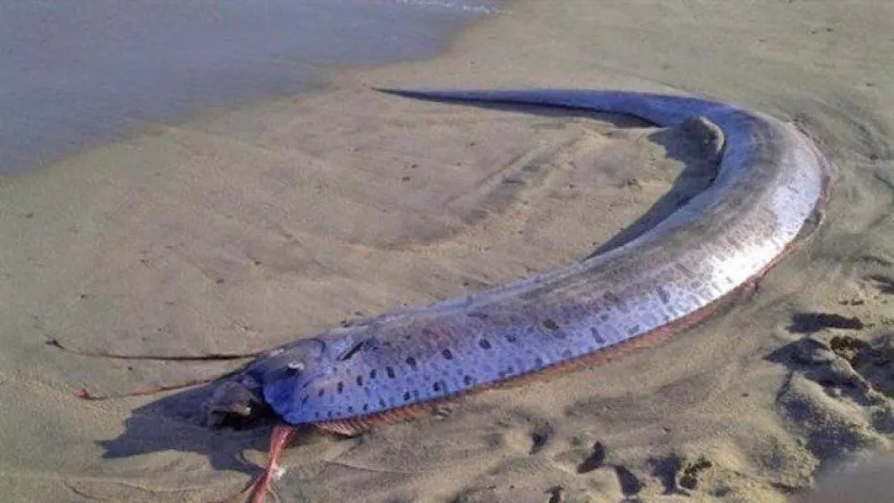 FOTOS: Temen la llegada de un desastre natural inminente en Japón