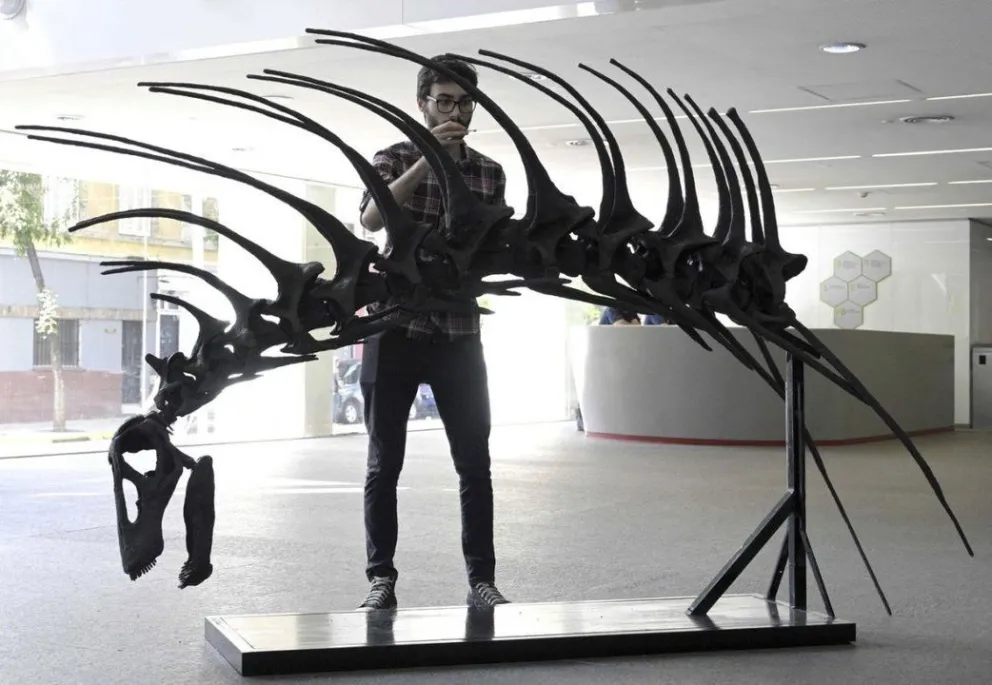 FOTOS: Hallan en Argentina una nueva especie de dinosaurio que se defendía con afiladas espinas en su cuello