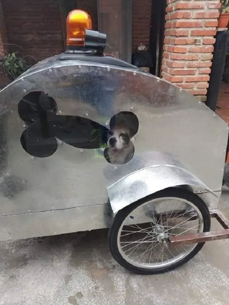 Los perritos tendrán su ambulancia en Salta