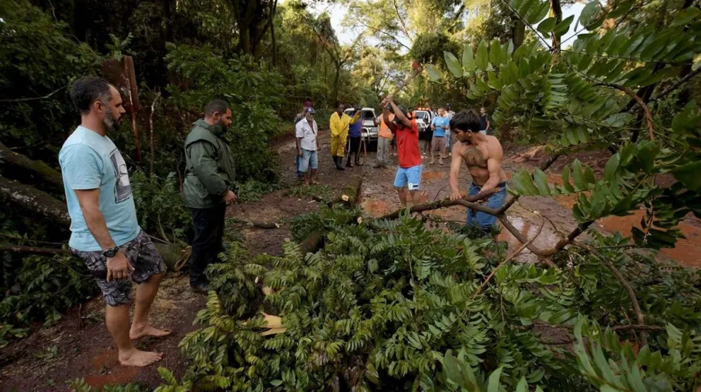 Tragedia Brasil: los familiares excavan en el barro para encontrar los cuerpos