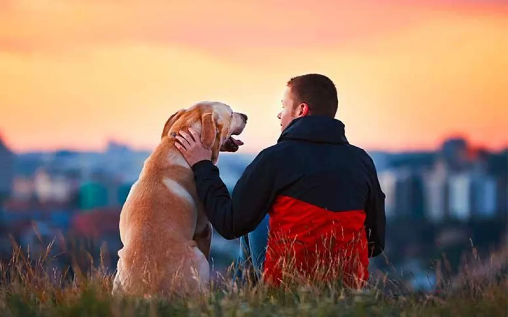 Adoptá y sé feliz: tu mejor amigo podría estar aquí