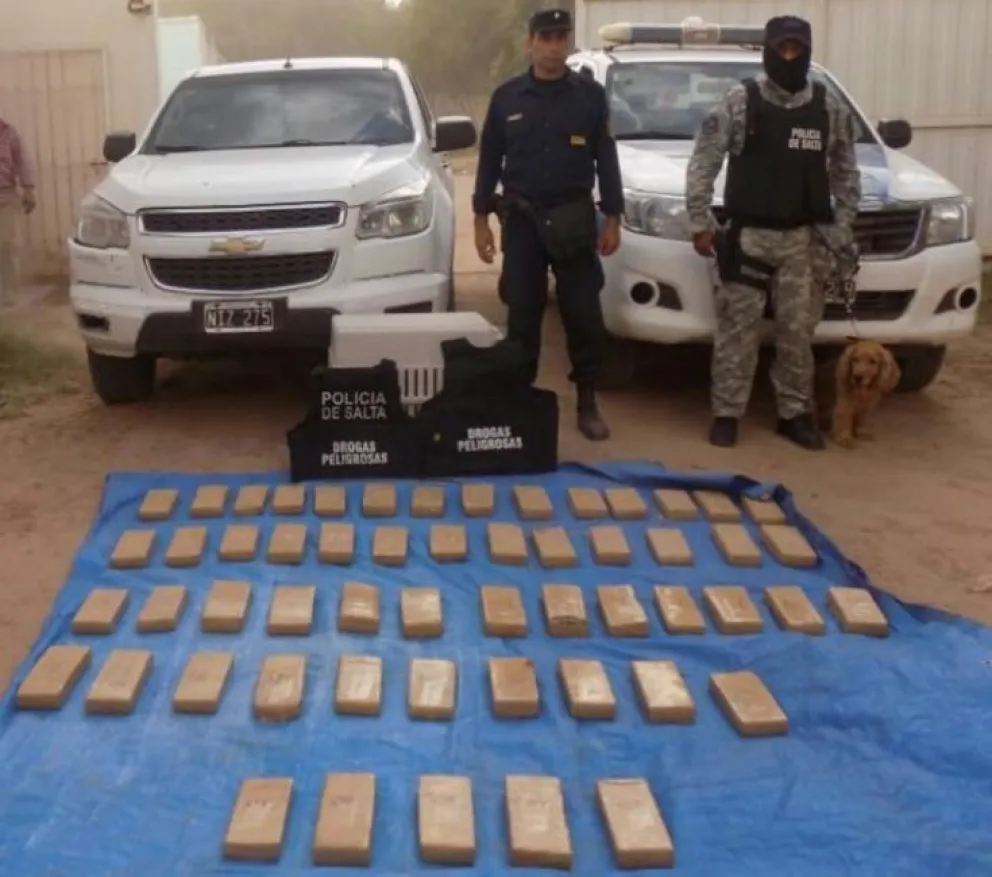 Un gran cargamento de marihuana fue decomisado en Pluma de Pato