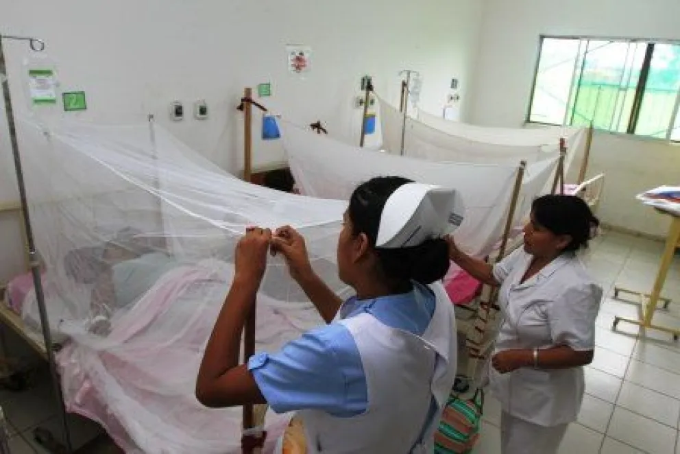 Preocupación por más de 100 casos de posible dengue en Salta