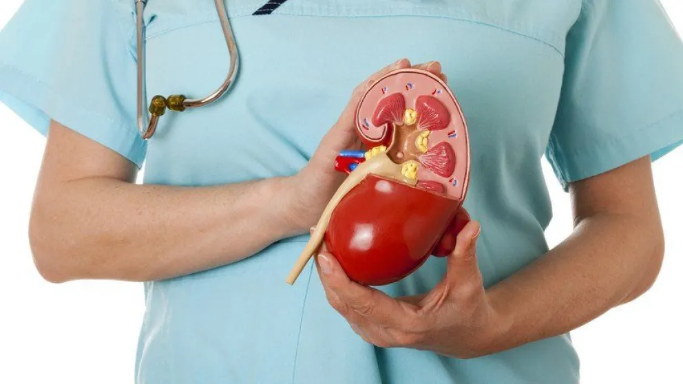 Un niño tiene su riñón en una parte inusual del cuerpo por una rara mutación genética