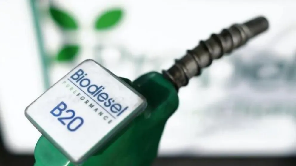 Biodiesel: ¿que pasó con las exportaciones?