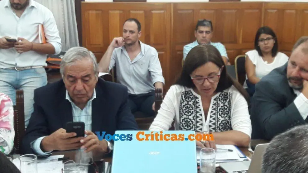 Voces Críticas estuvo presente: diputados reciben a la ministra Analía Berruezo en la Legislatura