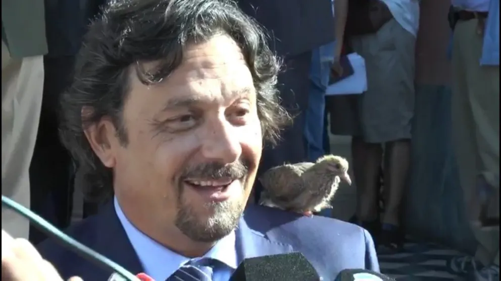 VIDEO. En medio de una conferencia una tierna paloma se posó en los hombros de Sáenz. ¿Qué significará?