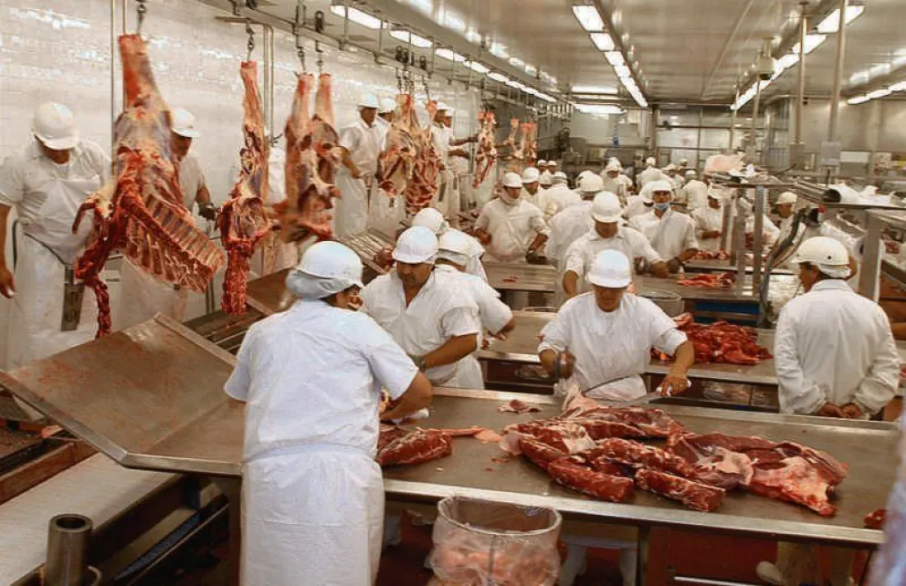 Faena ilegal: cómo se controla en Salta