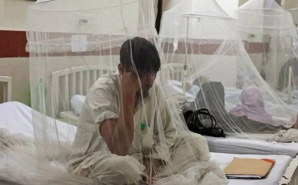 Los casos de dengue en Salta subieron de forma alarmante. ¿Cuántos hay?
