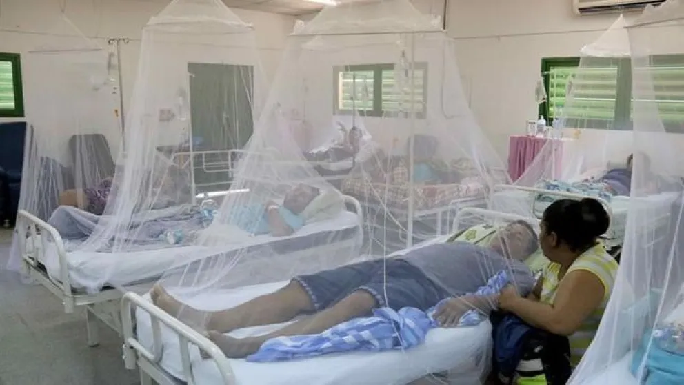De nuevo el dengue arrasa Salta: situación preocupante
