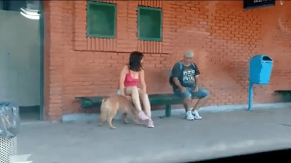Tremendo: abandonó a su perro de la peor manera. Fue repudiada por la gente. VIDEOS