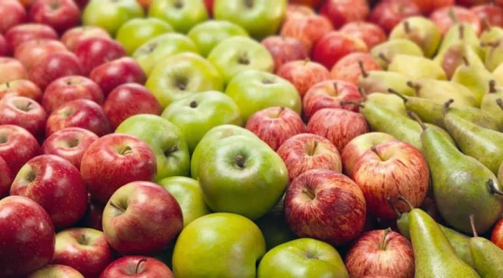 Exportación a Brasil de peras y manzanas: ¿se podrá concretar?