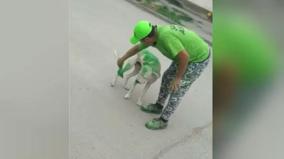 VIDEO. Horror: para promocionar una campaña política pintaron un perro