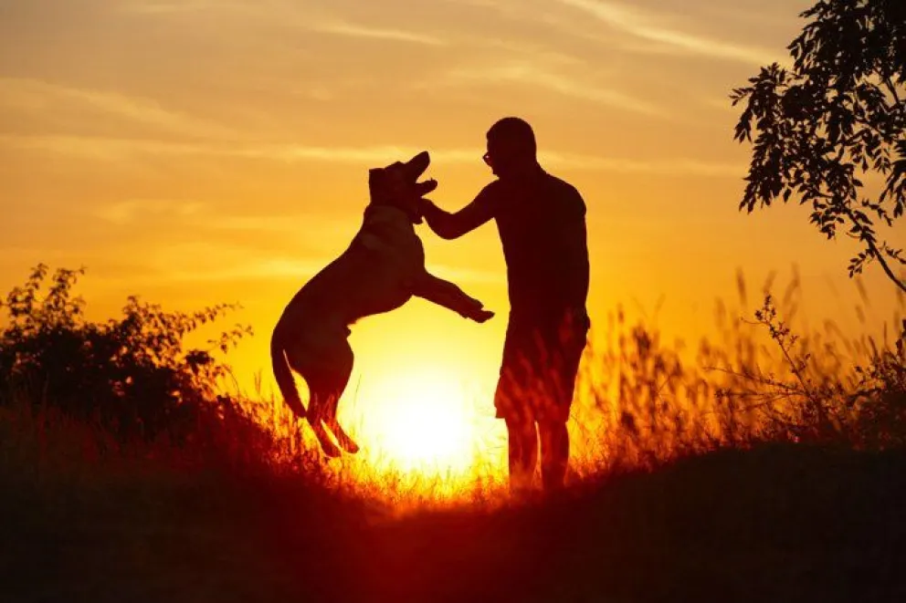 El perro es el mejor amigo del hombre: un salteño lo comprobó hoy. ¿Qué pasó?