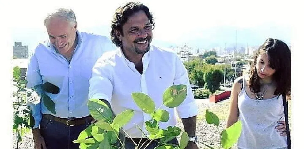 Gestión Sáenz: plantaron lapachillos en calle España y supervisaron los trabajos de pavimentación