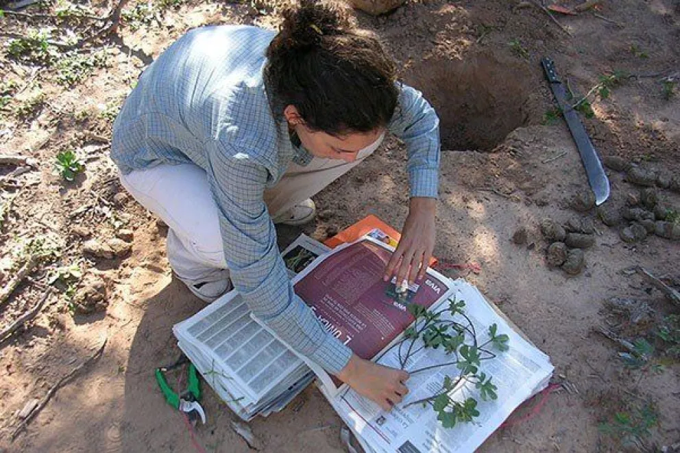 Una científica del CONICET María Eugenia Suárez convivió 12 años con la comunidad wichí. ¿Por qué?