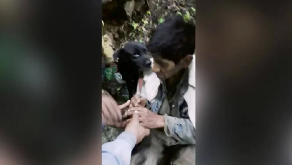 Perrito héroe: protegió de un puma a un gaucho salteño que cayó a un barranco