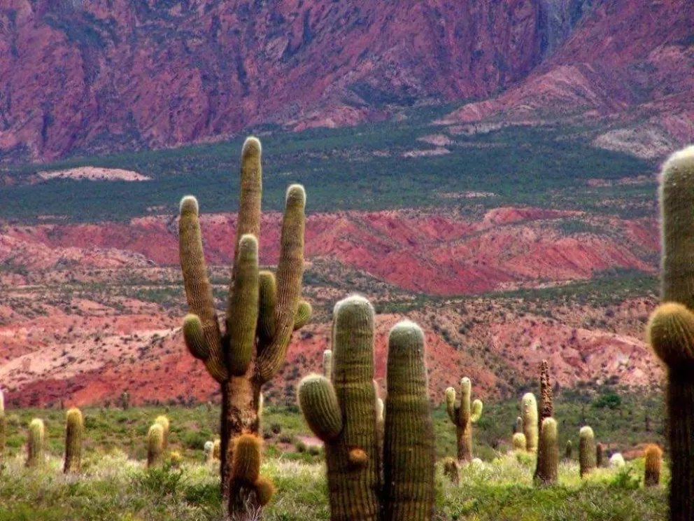Salta mágica: San Carlos,  un pueblo histórico que casi llegó a ser la capital de Salta