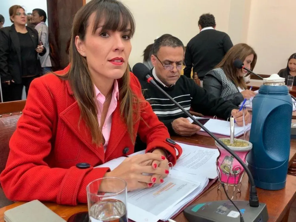 Se deberán colocar carteles en las escuelas expresando que el pago de cooperadora no es obligatorio