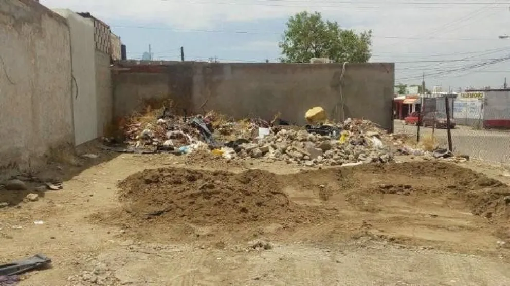 Los terrenos baldíos sucios van a ser rematados
