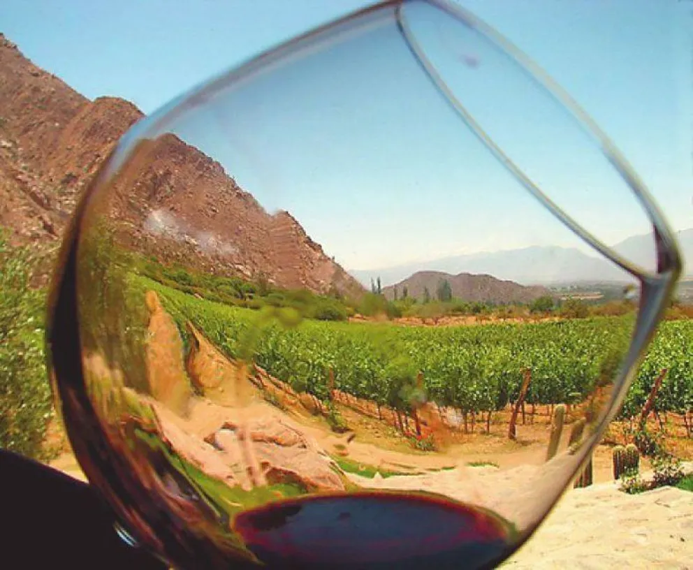 Se posicionan los vinos de altura salteños: te contamos cómo