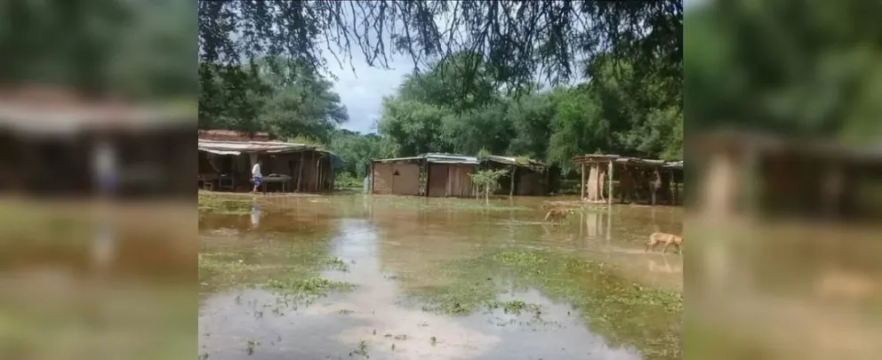 Morillo y el chaco salteño: estremecedoras imágenes de miseria total