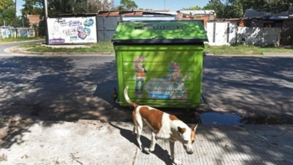 ABERRANTE HALLAZGO: encuentran más de 30 esqueletos de perros en Rosario, ¿fueron faenados?