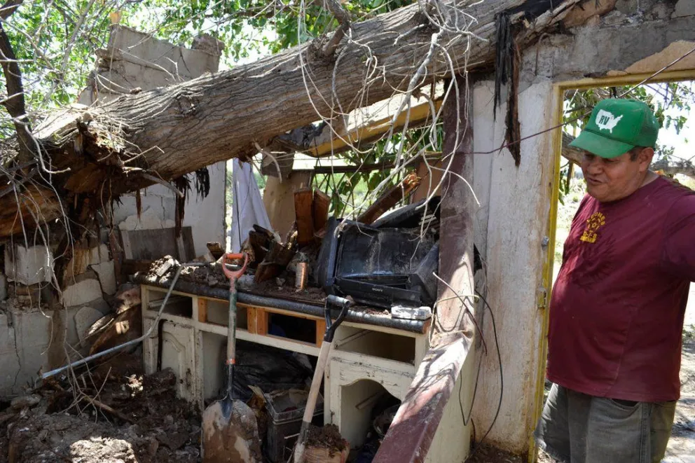 Un enorme árbol aplastó el frente de una casa en Orán