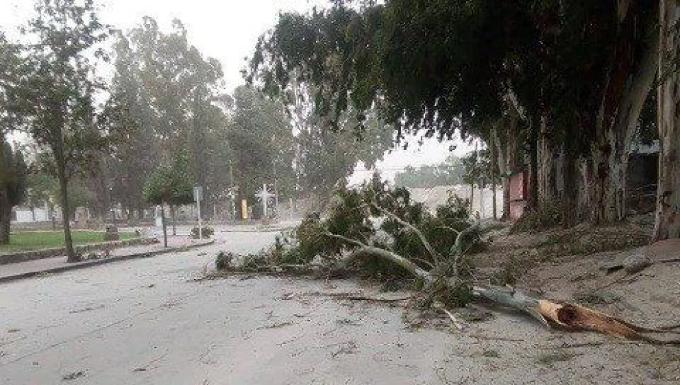 La fuerte tormenta golpeó a Cafayate