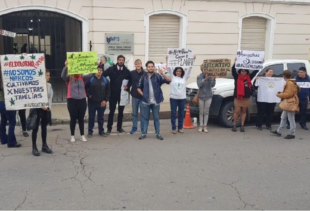Exigen la liberación de la salteña que cultivaba cannabis