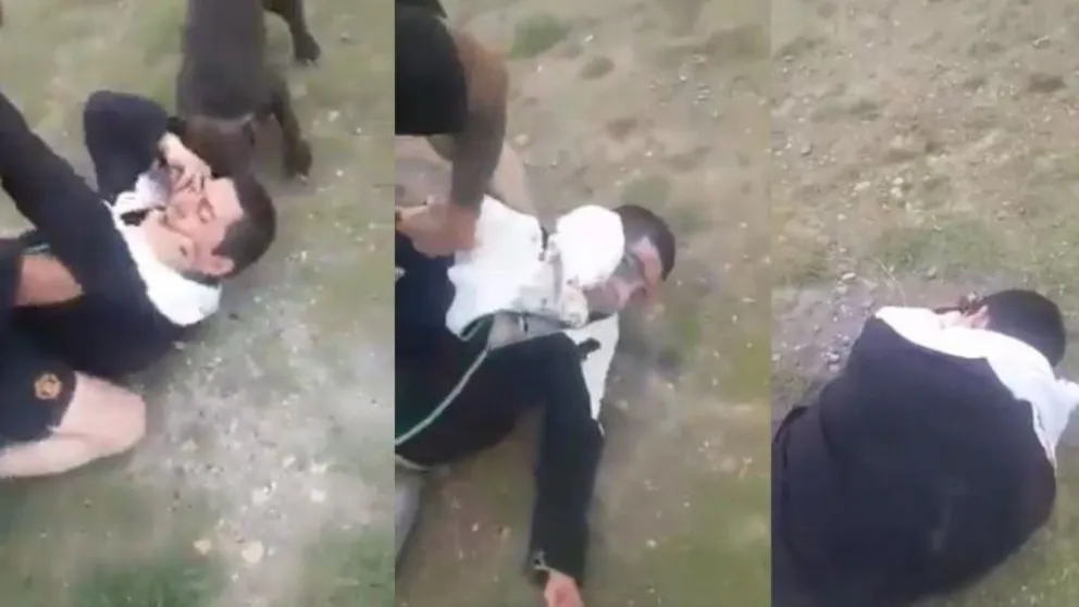 Un hombre quiso vengarse de un pitbull, pero fue atacado por este y molido a golpes por su dueño