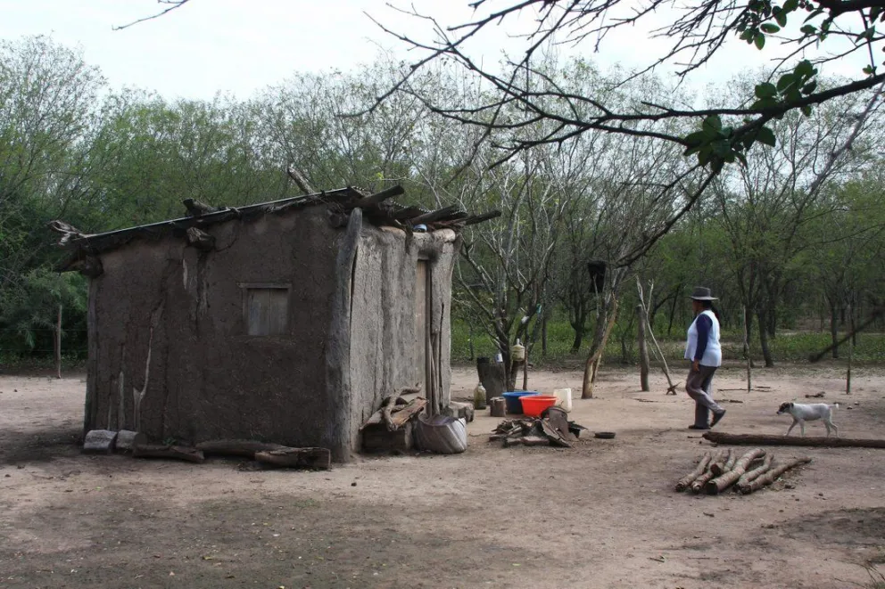 No tenían para comer y carnearon un burro