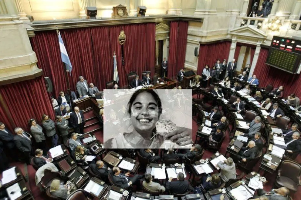 El Senado salteño quiere la adhesión a la "Ley Micaela"
