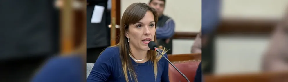 Arroyo: "Hay sectores a los que les molesta la candidatura de Sáenz"