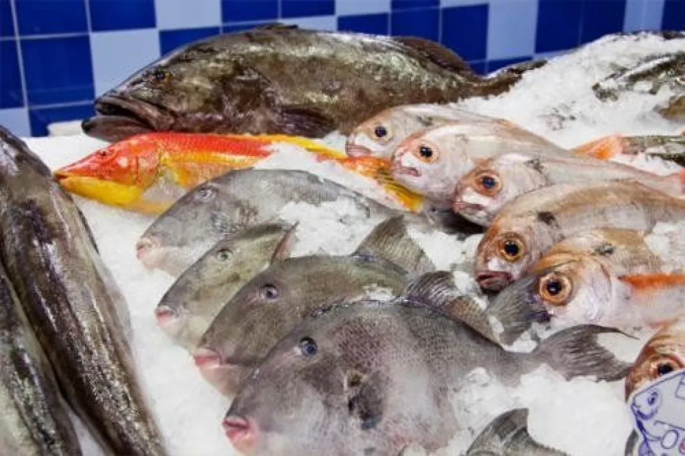 Recomendaciones: si vas a comprar pescado o mariscos tené en cuenta estos consejos