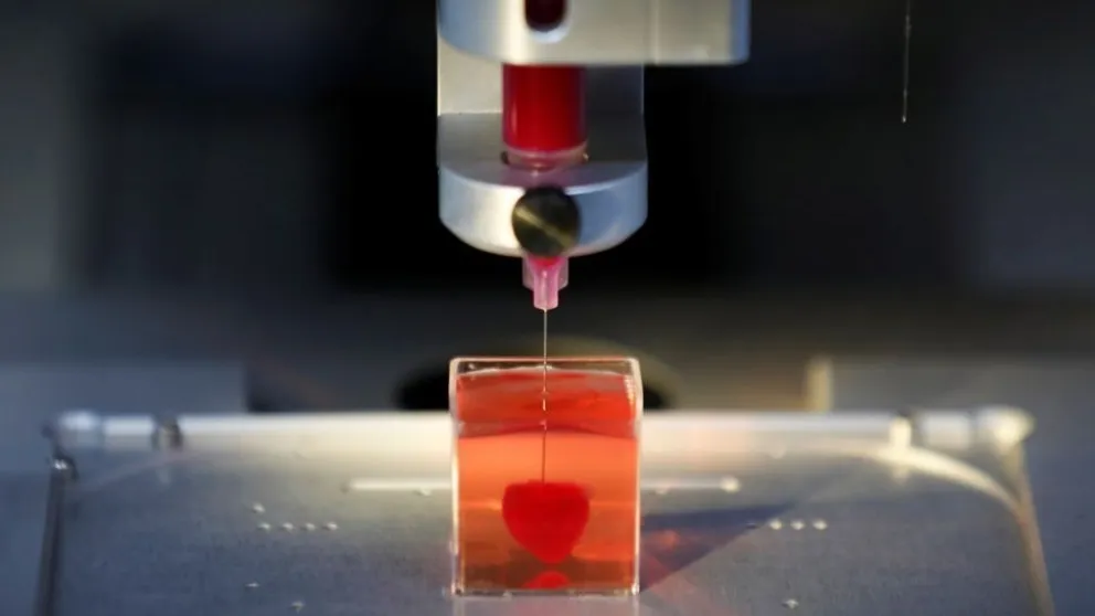 Científicos imprimieron un corazón vivo hecho con tejido humano