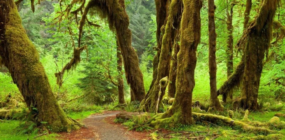 Salta tiene un nuevo lugar declarado reserva natural