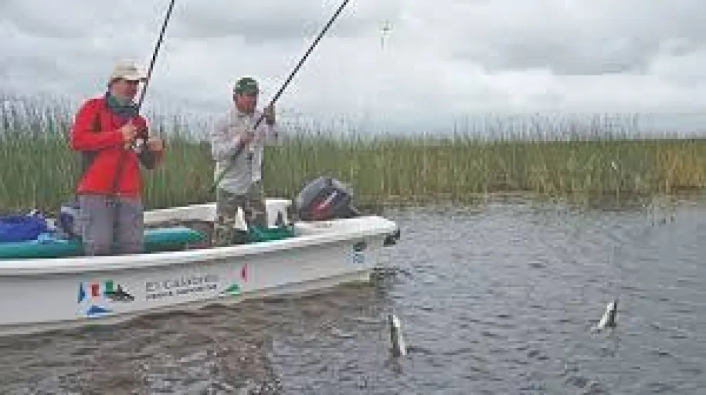 ¿Te gusta la pesca?: aquí tenés el nuevo reglamento para practicar este deporte