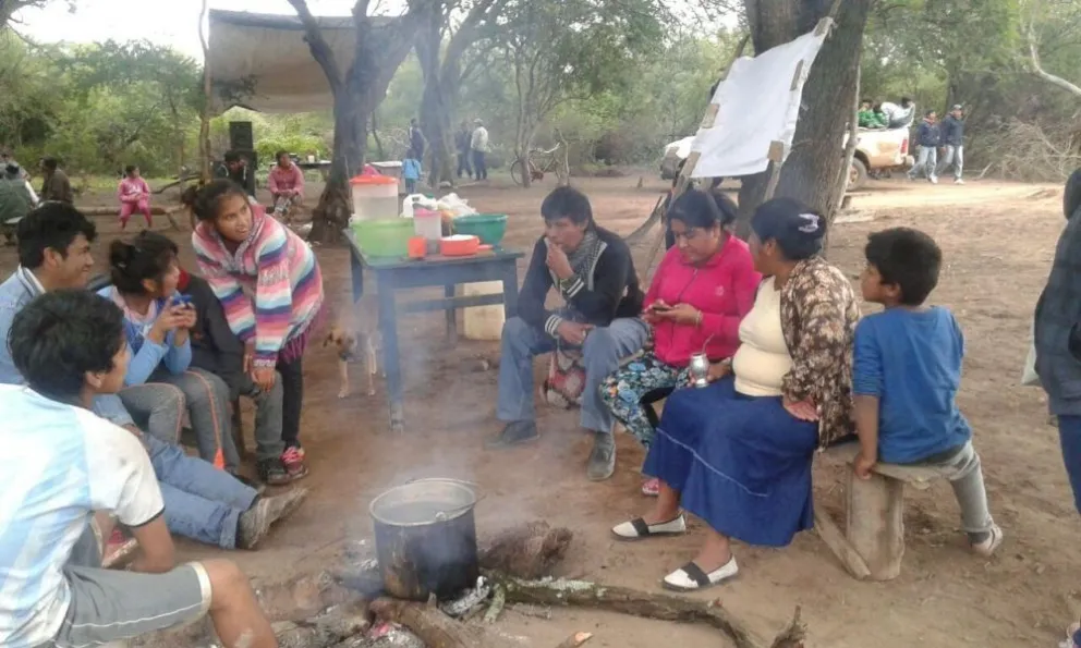 Comen iguanas para sobrevivir