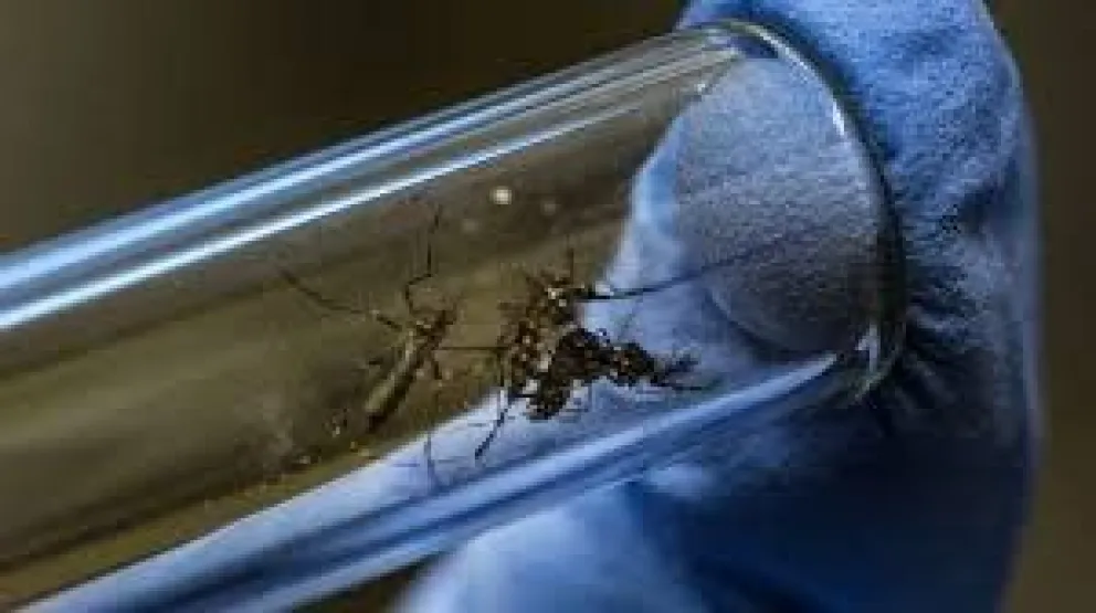 Se conoció el informe sobre los casos de dengue desde  la Coordinación de Epidemiología de la Provincia
