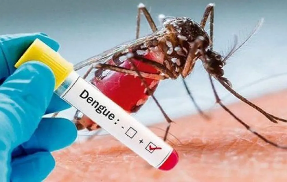 El dengue en Salta Capital: importante revelación