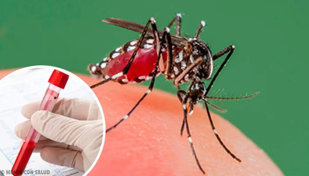 Gran alerta por dengue en Salta y Jujuy