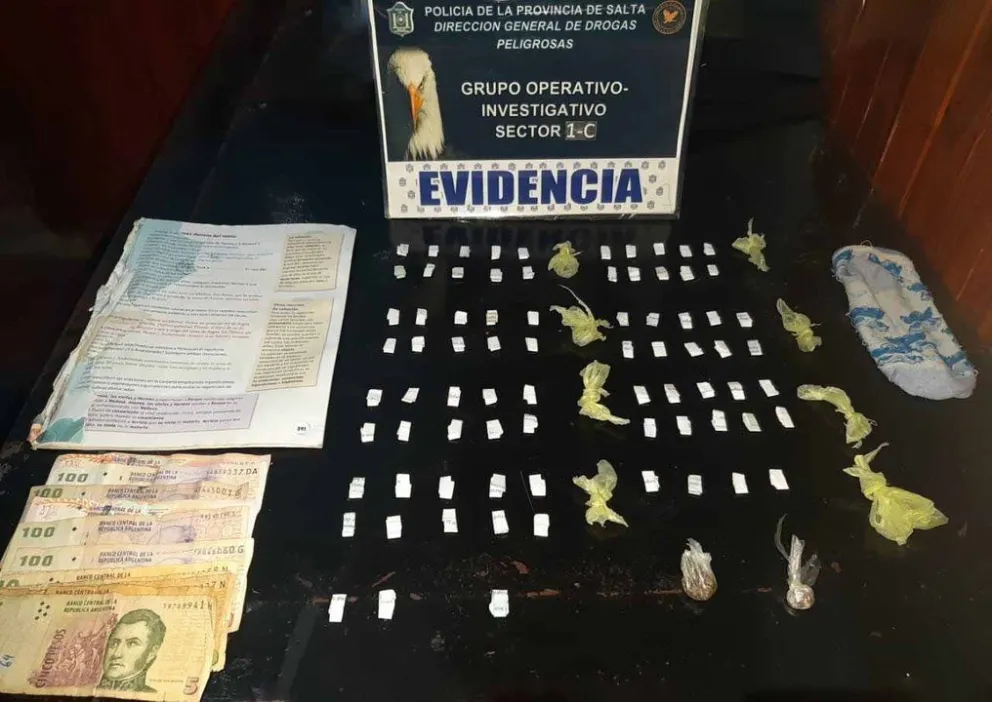 Cayó a una mujer: golpe al narcotráfico