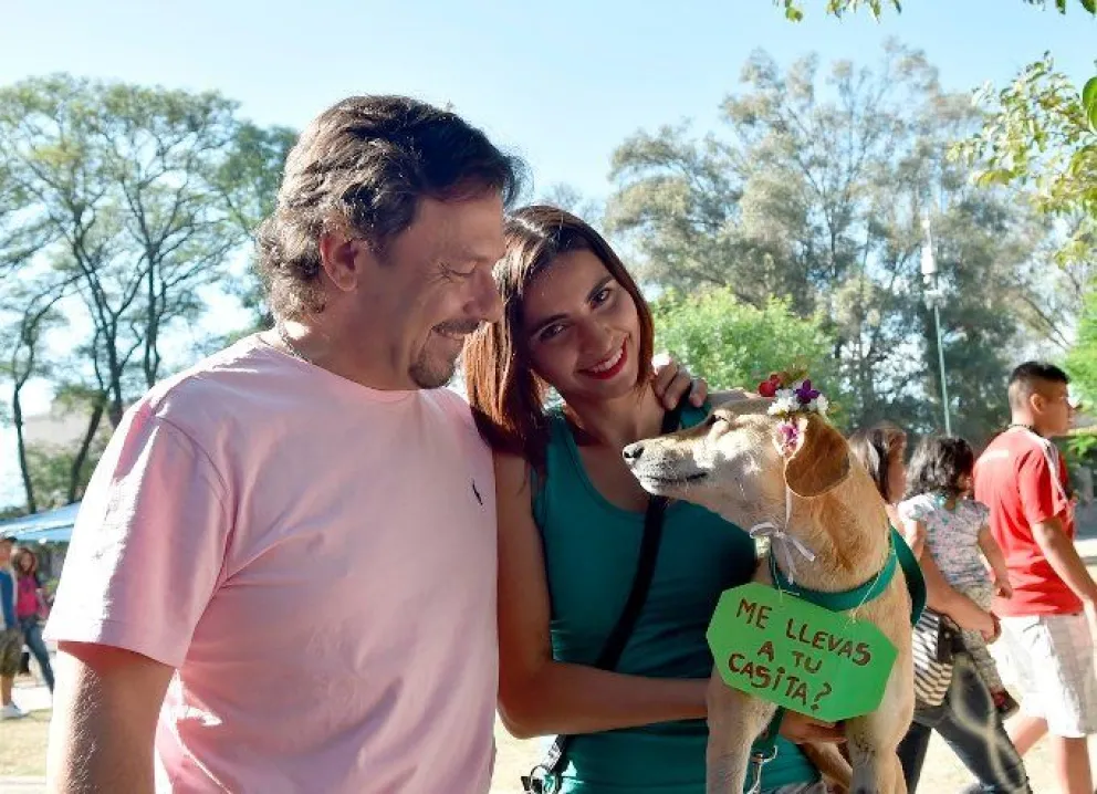 Una tarde con tu amigo de cuatro patas