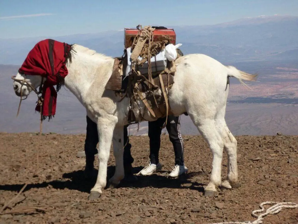 Parque Nacional Los Cardones: retiran desechos contaminantes