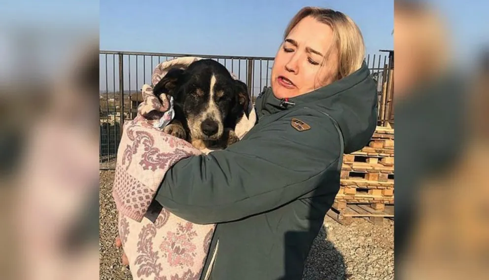 Enterraron a perro que lo creyeron muerto y "resucitó"